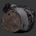 Natural Birch Wood Log Featuring White Bark And Knotty Textured Surface