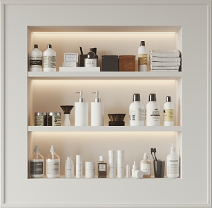 Modern toiletries 3d model