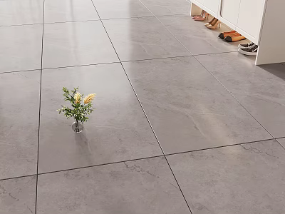 Gray Floor Tiles in Home Entrance with Slippers and Small Flower Vase 3d model