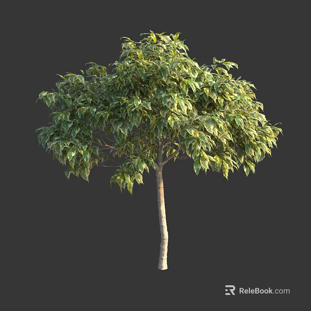 Isolated Arbor Tree With Lush Green Foliage And Light Brown Trunk 3d model
