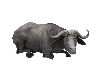 Gray Buffalo With Large Curved Horns Lying On Ground Surface 3d model