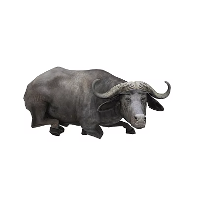 Gray Buffalo With Large Curved Horns Lying On Ground Surface 3d model Gray Buffalo With Large Curved Horns Lying On Ground Surface 3d model