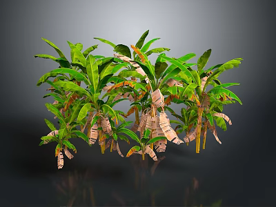 Banana Trees With Lush Green Leaves And Sturdy Trunks In Tropical Garden 3d model