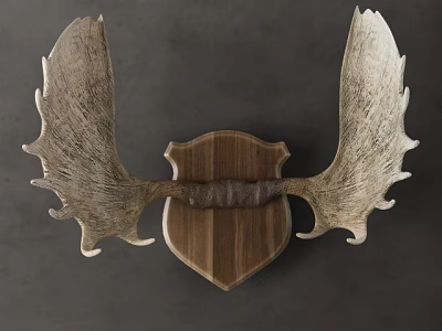 Animal Wall Decor Featuring Deer Antlers And Wooden Shield Design 3d model