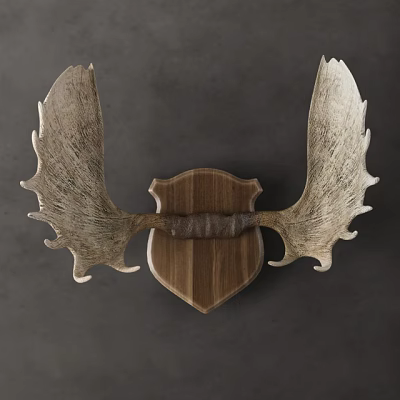 Animal Wall Decor Featuring Deer Antlers And Wooden Shield Design 3d model