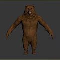 Realistic Brown Bear 3D Model With Standing Posture And Open Mouth