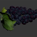 Fresh Juicy Deep Purple Grapes With Green Leaf And Plump Berries