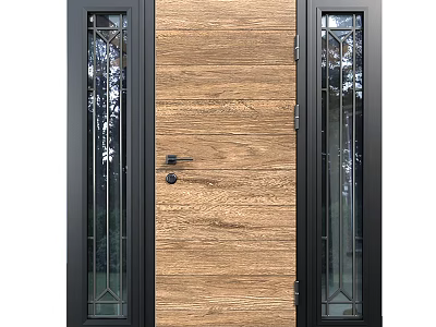 Wooden Front Door With Glass Side Panels Black Frame And Modern Design 3d model