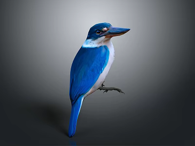 emerald bird waterbird bluebird white-throated emerald kingfisher magical bird dreamlike bird bird bird bird bird animal 3d model