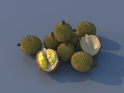 Fresh Ripe Durian Fruits With Whole And Cut Open Pieces On Blue Background 3d model