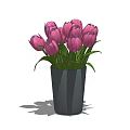 Black Vase With Pink Tulips And Green Leaves For Home Decor