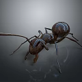 Detailed Black Ant With Long Antennae And Segmented Body On Dark Background