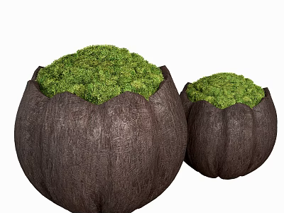 Two Brown Lotus Shaped Sofa Stools With Green Moss On Top Decorative Design 3d model