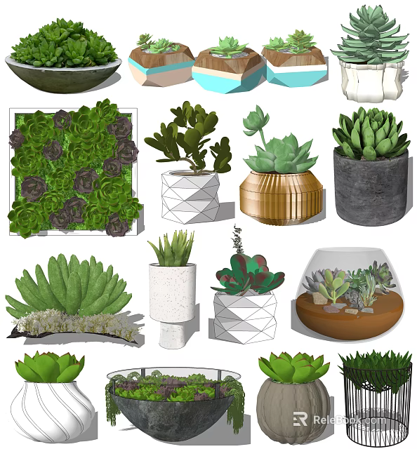 Assorted Bonsai and Succulent Potted Plants in Geometric Ceramic Planters 3d model 