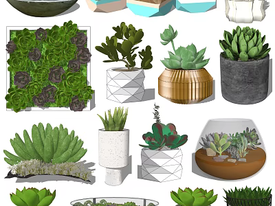 Assorted Bonsai and Succulent Potted Plants in Geometric Ceramic Planters 3d model
