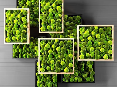 Green Plant Wall Decor With Square Wooden Frames On Gray Wall 3d model