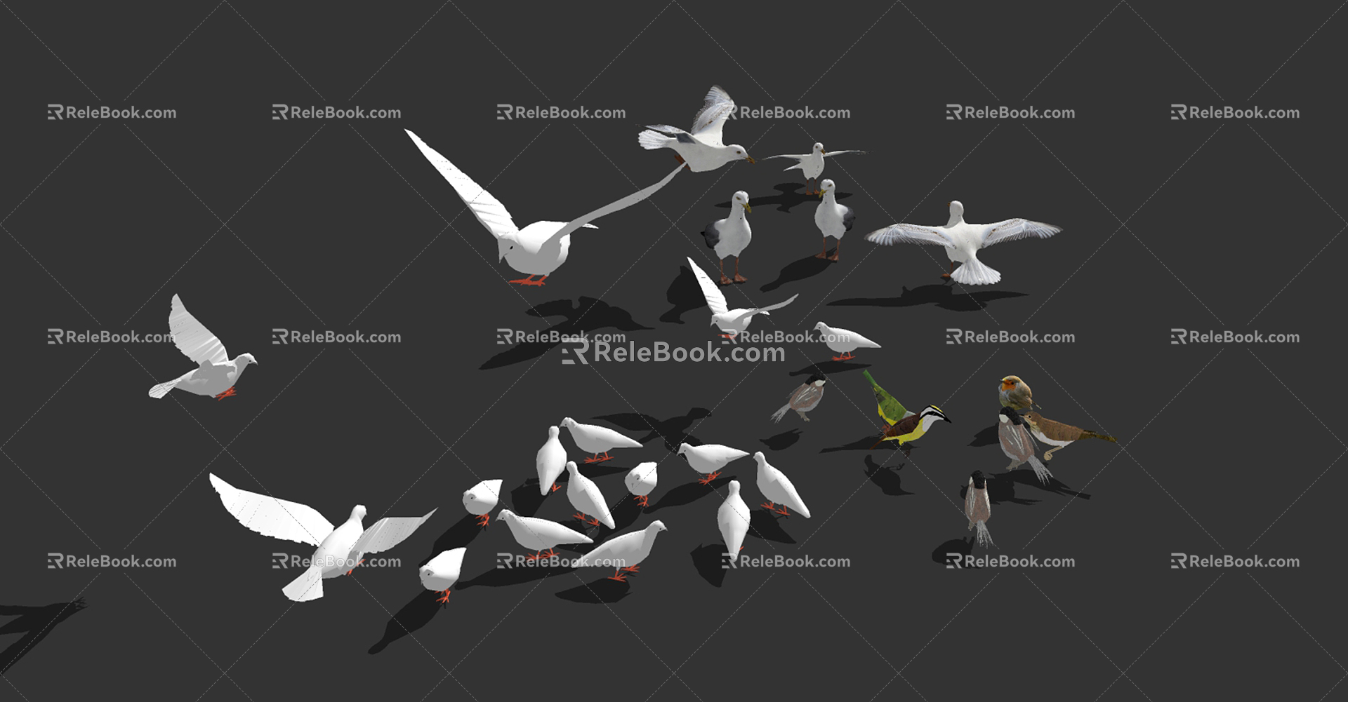 Modern Bird Bird Combination 3d model