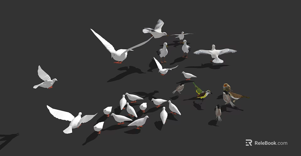 Various Flying Animals Including Pigeons Seagulls And Parrots On Dark Background 3d model 