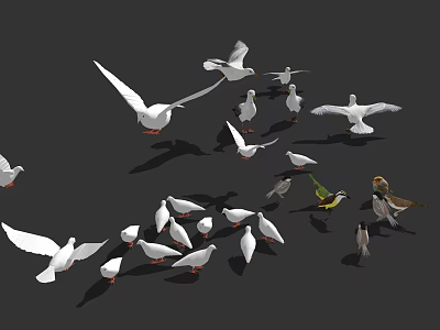 Various Flying Animals Including Pigeons Seagulls And Parrots On Dark Background 3d model