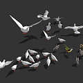 Modern Bird Bird Combination 3d model