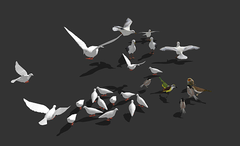 Modern Bird Combination 3d model