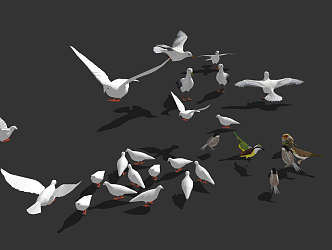 Modern Bird Combination 3d model