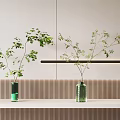 Elegant Green Vases With Green Leaf Plants On Wooden Surface And Light Wall