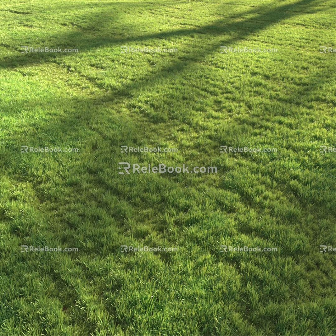 modern grass lawn 3d model