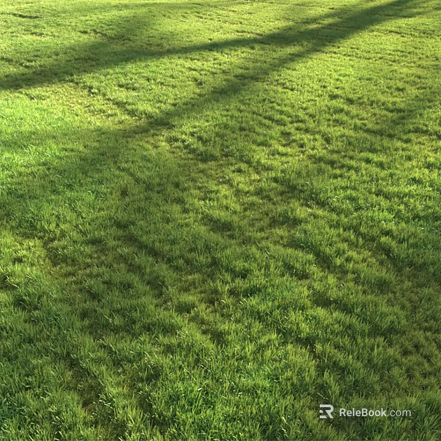 Fresh Lush Green Grass Lawn Under Bright Sunlight With Natural Shadows 3d model 