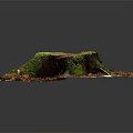 Natural Wooden Tree Stump Covered With Green Moss Surrounded By Fallen Leaves And Natural Ground