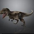 Realistic Tyrannosaurus Rex 3D Model Standing With Open Mouth And Detailed Skin
