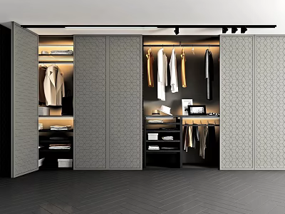 Modern Gray Wardrobe Interior Design With Hanging Clothes Drawers And Lighting 3d model