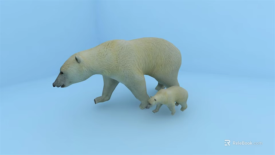 Polar Bear Mother With Baby Walking On Light Blue Background 3d model 