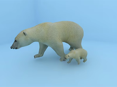 Modern polar bear 3d model
