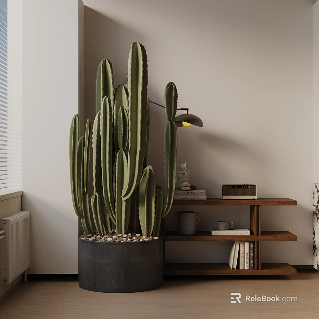 Indoor Cactus Bonsai in Dark Pot with Pebbles Wooden Shelf Books and Table Lamp 3d model 