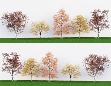 Landscape Tree Courtyard Tree Street Tree Garden Tree Red Leaf Tree Yellow Leaf Tree 3d model