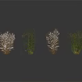 Four Different Decorative Greenery Plants With Delicate Branches Small Leaves And Flowers