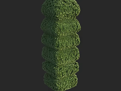 Trimmed Green Shrub With Spiral Columnar Shape For Garden Landscaping Design 3d model