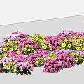 Modern Plant Flower Border Plant Group 3d model