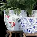 Decorative Bonsai Potted Plants In Blue And White Porcelain Pots With Fish Dragon Patterns