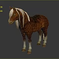 Brown Horse With White Mane And White Hooves Standing On Gradient Gray Background