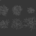 Six Leafless Arbor Trees With White Branches On Black Background