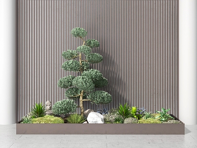 Plant landscape green plant bonsai pine small landscape gardening shrub landscape sketch gardening sketch potted plant combination model