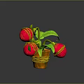 Potted Plant With Green Leaves And Red Fruits In Orange Rope Decorated Pot