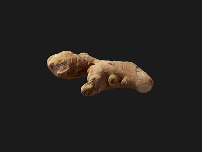 Fresh Raw Ginger Root with Natural Texture on Black Background 3d model