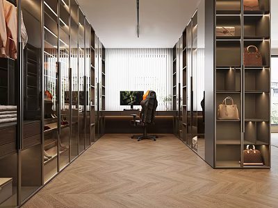 Modern Walk in Closet Interior With Glass Doors Open Shelves And Herringbone Flooring 3d model