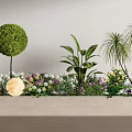 Colorful Flowers and Diverse Plants in Flower Bed With Round Green Shrub and Gray Wall
