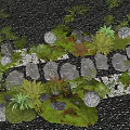 Lush Flowering Plants And Ferns With Decorative Stones Green Moss Natural Garden Landscape Design