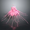 Eukaryotic cell cross section cell cell structure cell tissue anatomy organ human organ model 3d model
