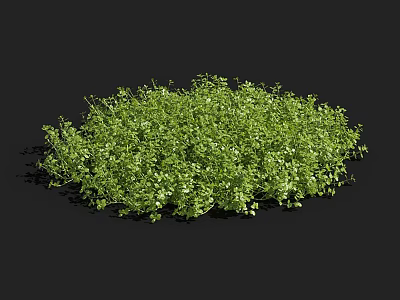 Vibrant Freshwater Aquatic Plants With Lush Green Foliage For Pond Decoration 3d model